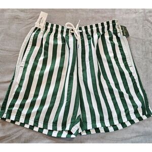 Tilly's RSQ Swim Shorts Men's Small No Lining Green White Retro Stripe NWT